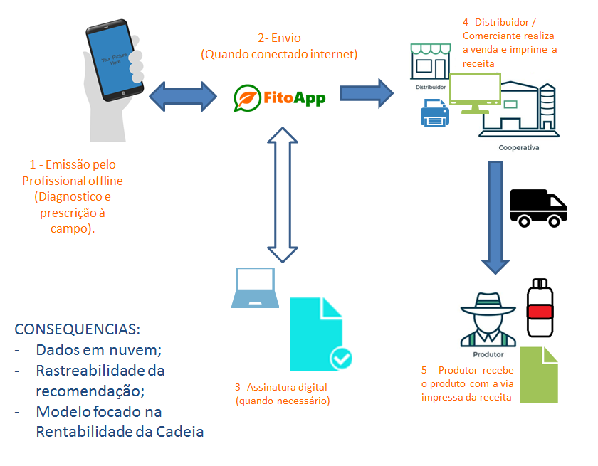 Infográfico: FitoApp, como funciona?